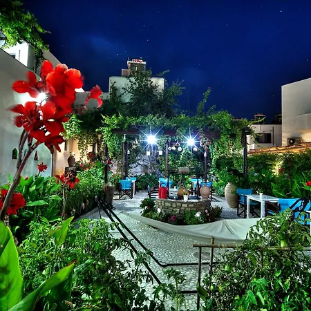 Guest house Eleni Parikia (Paros)