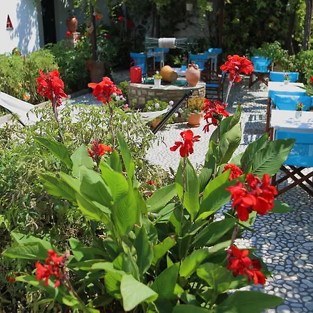 Eleni Parikia (Paros)