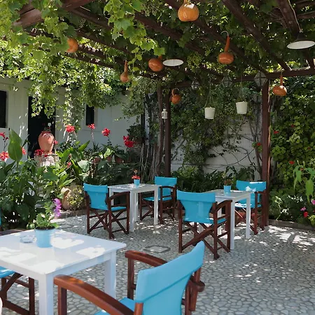 Guest house Eleni 2*